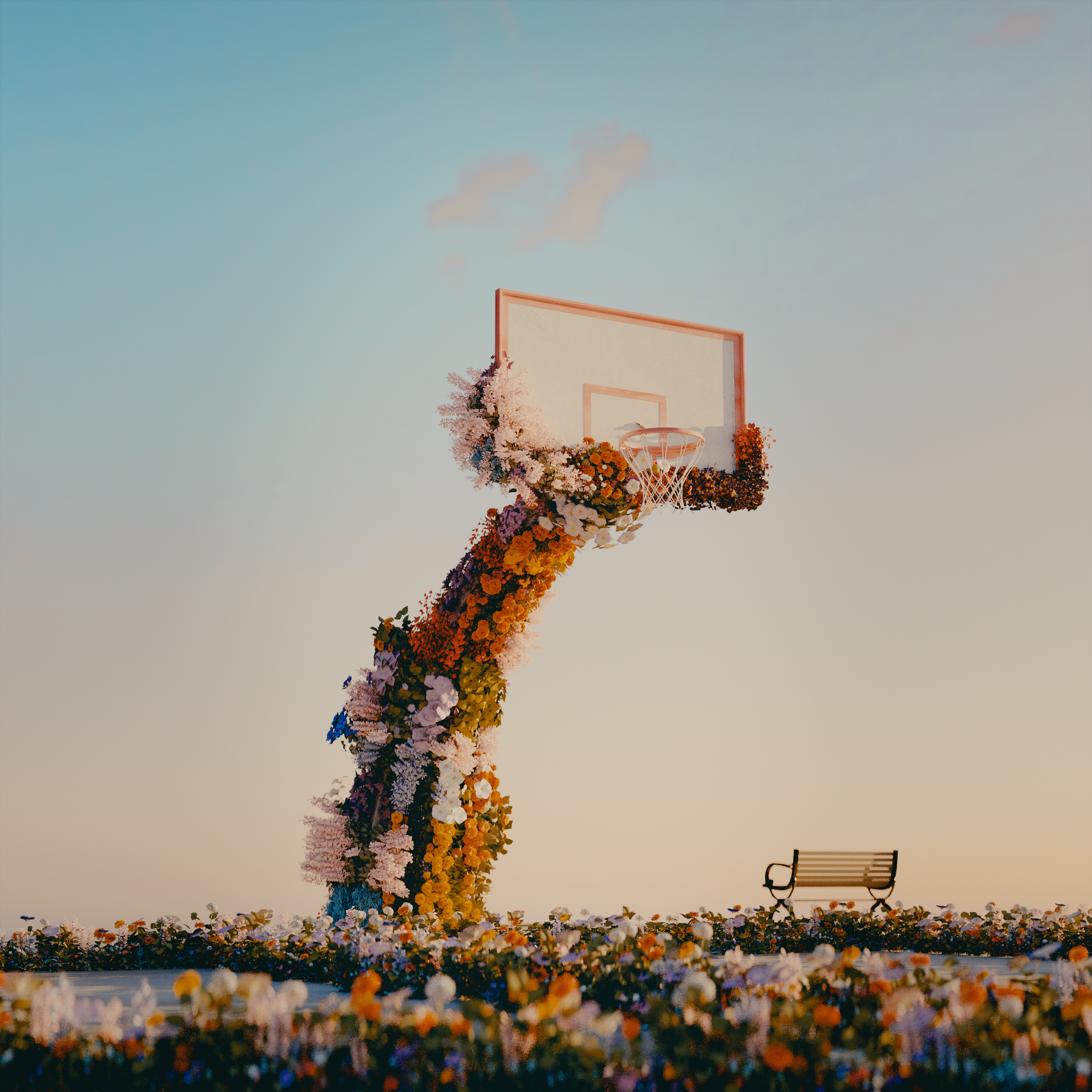 Basketball hoop wrapped in flowers at sunset